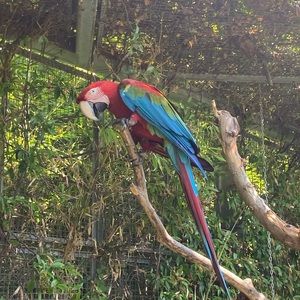 Meet your Posher, Rory